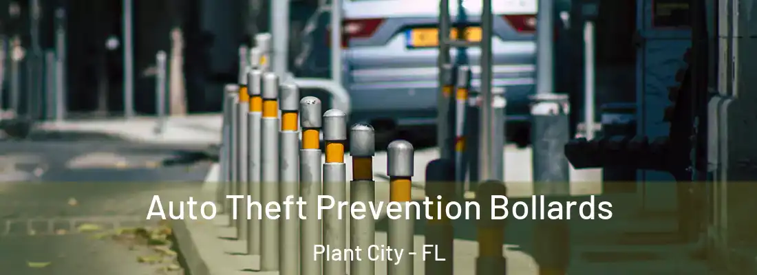  Auto Theft Prevention Bollards Plant City - FL
