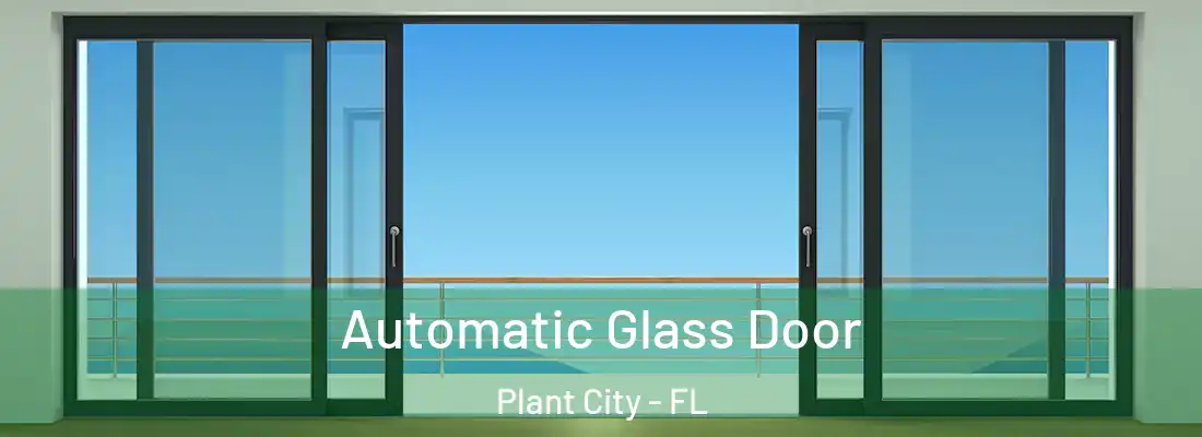  Automatic Glass Door Plant City - FL