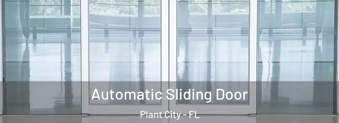  Automatic Sliding Door Plant City - FL