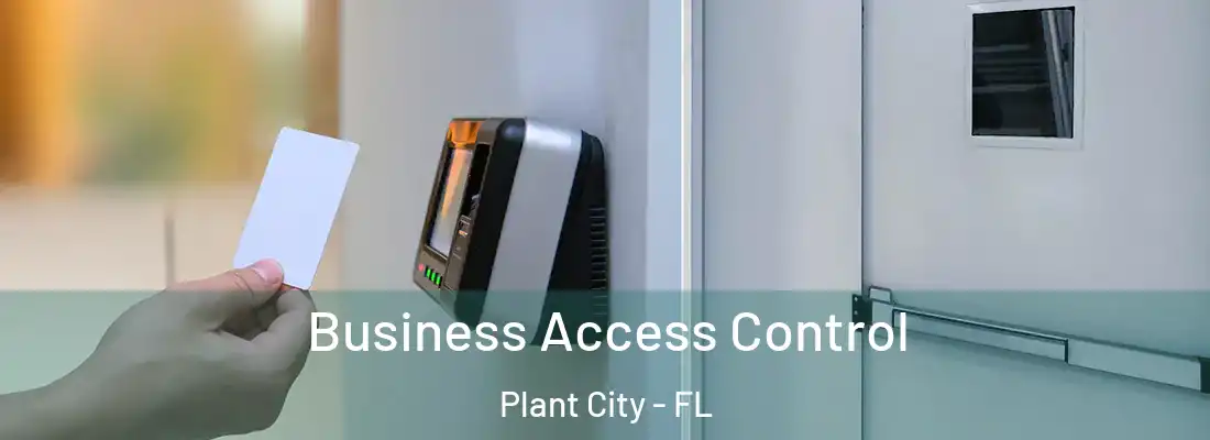 Business Access Control Plant City - FL
