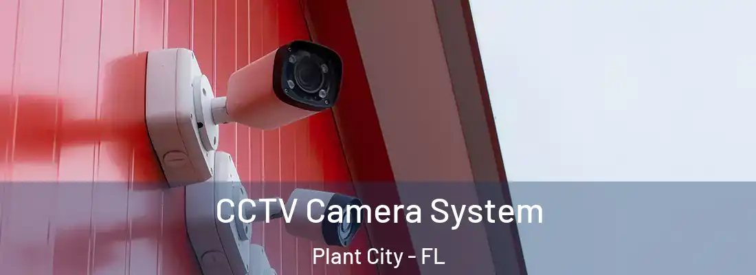  CCTV Camera System Plant City - FL