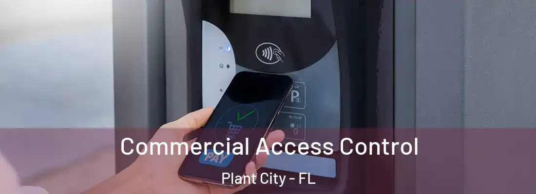  Commercial Access Control Plant City - FL