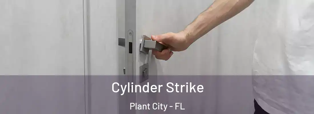  Cylinder Strike Plant City - FL