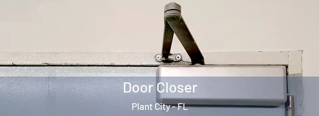  Door Closer Plant City - FL