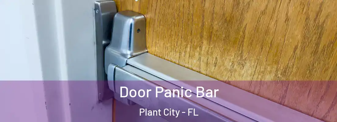  Door Panic Bar Plant City - FL