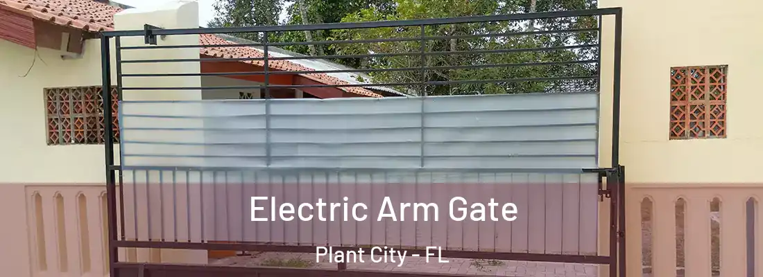  Electric Arm Gate Plant City - FL