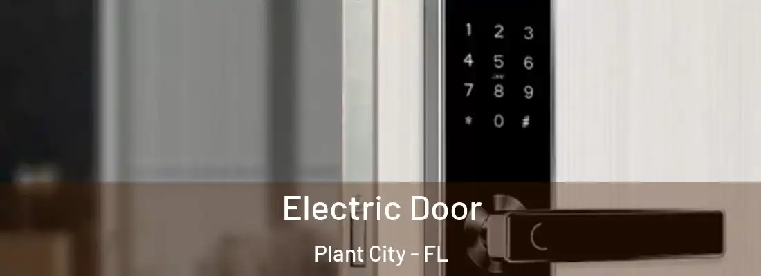  Electric Door Plant City - FL