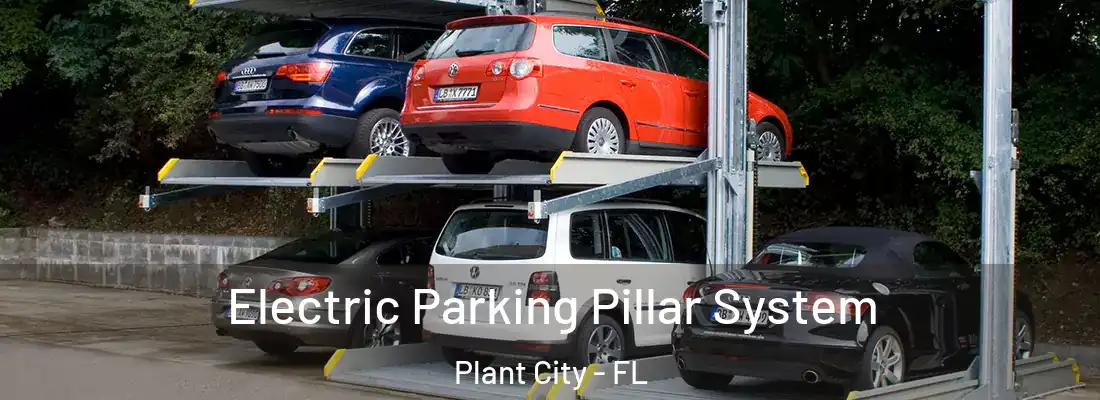  Electric Parking Pillar System Plant City - FL