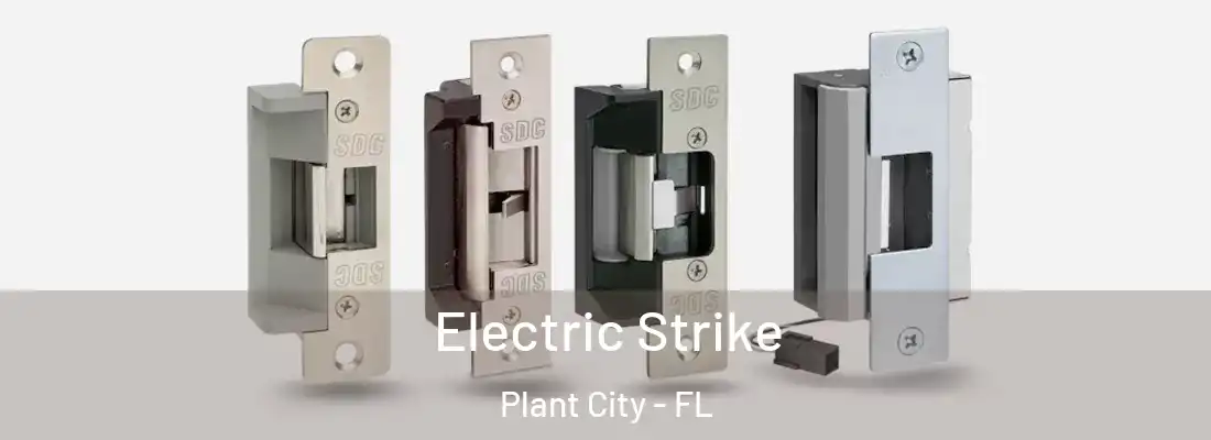  Electric Strike Plant City - FL