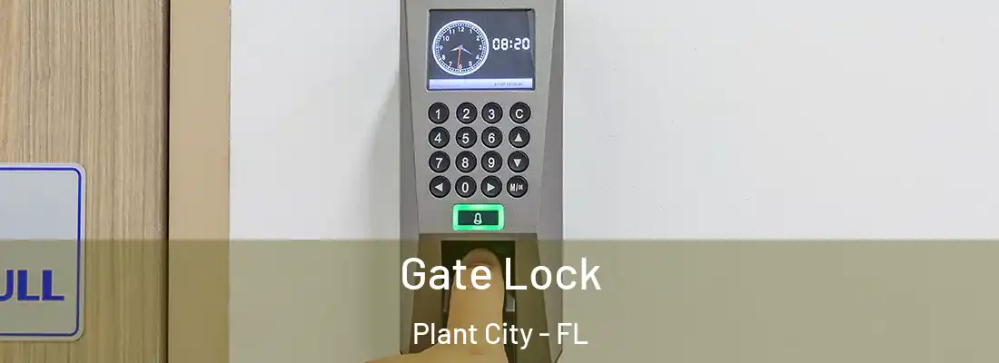 Gate Lock Plant City - FL