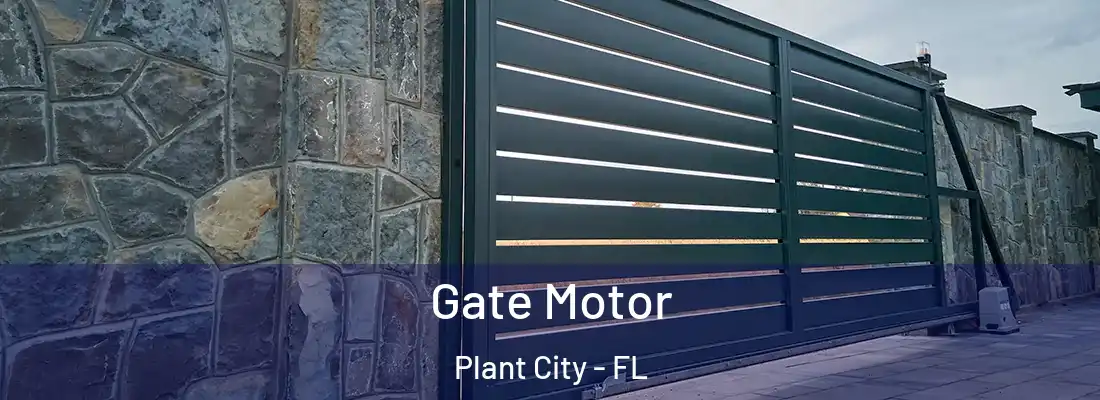  Gate Motor Plant City - FL