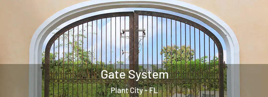 Gate System Plant City - FL