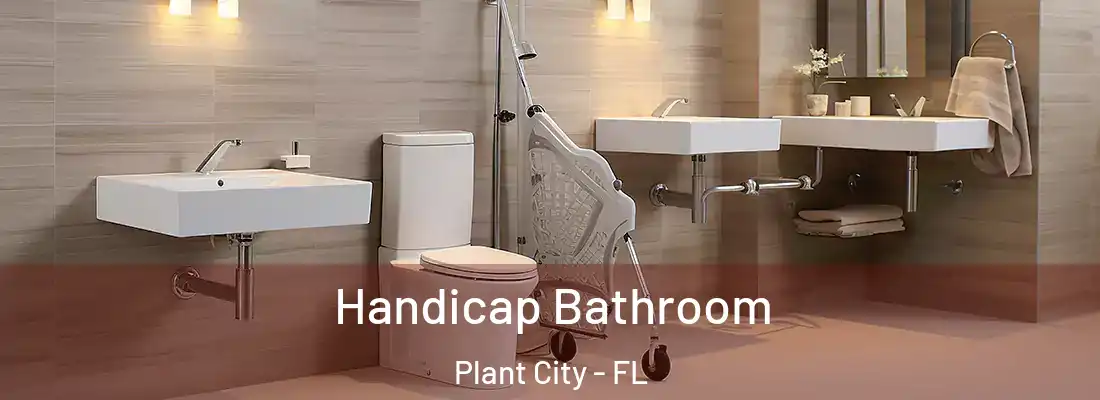 Handicap Bathroom Plant City - FL