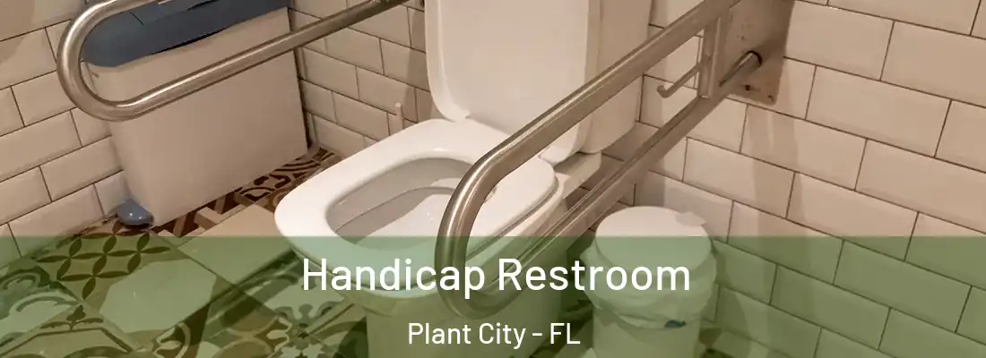  Handicap Restroom Plant City - FL
