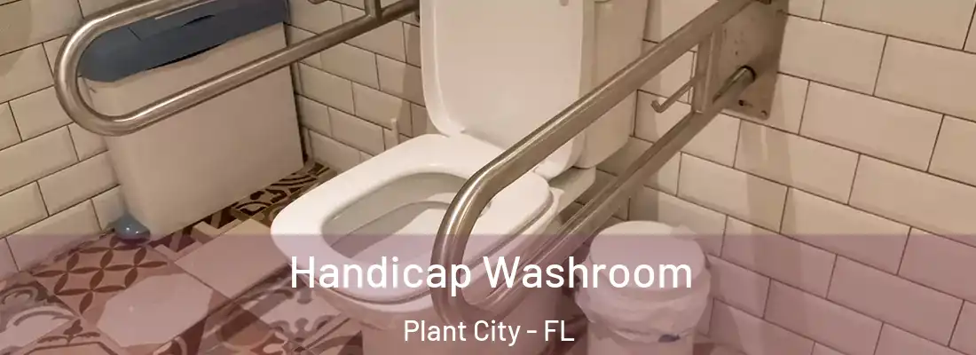  Handicap Washroom Plant City - FL