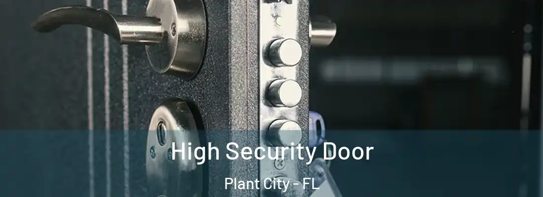  High Security Door Plant City - FL