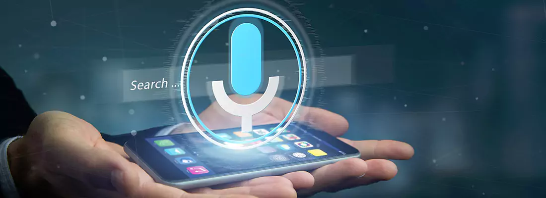 Enhance Security with Voice Recognition Access Systems in Plant City, FL