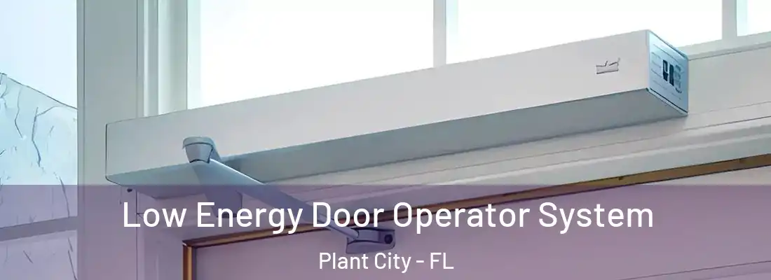 Low Energy Door Operator System Plant City - FL