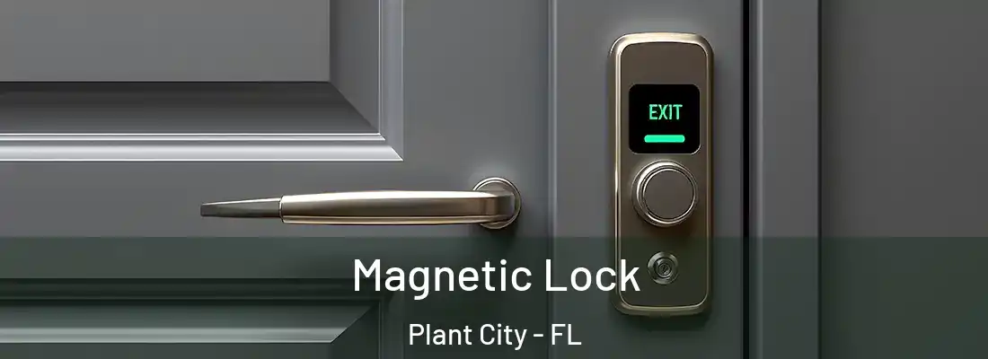  Magnetic Lock Plant City - FL