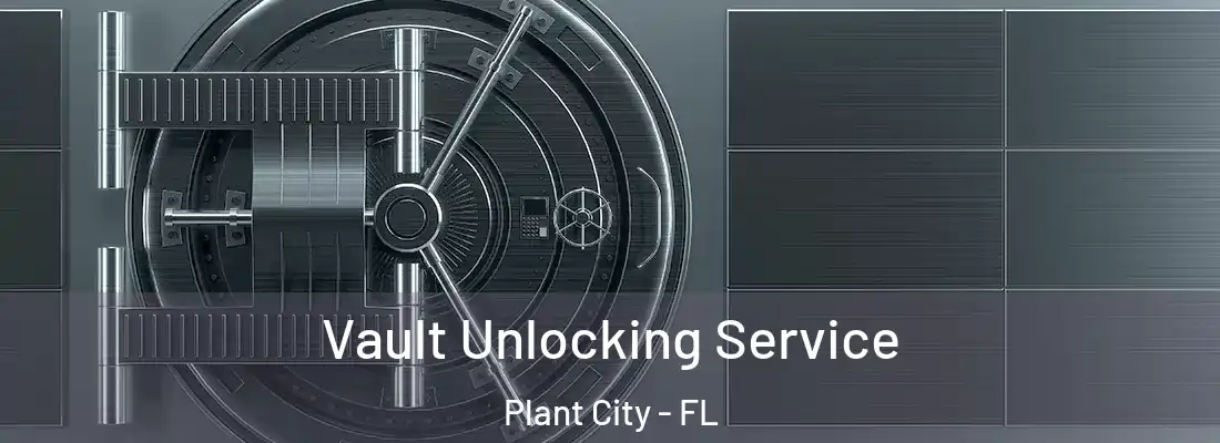  Vault Unlocking Service Plant City - FL